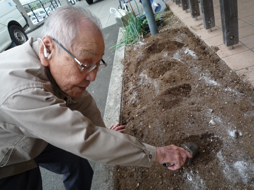 キャベツと白菜の苗を植えました!【通所介護事業所ココカラ】