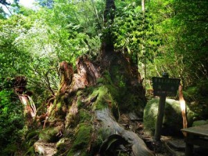 PN2010091201000345_-_-_CI0003