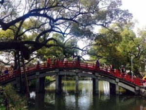 ZjZ33LtxwzAoxmn_0bAlUxL_jiN0gIFrYwl0syd